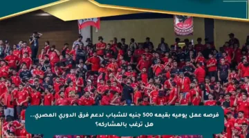 فرصة عمل يومية بقيمة 500 جنيه للشباب لدعم فرق الدوري المصري.. هل ترغب بالمشاركة؟